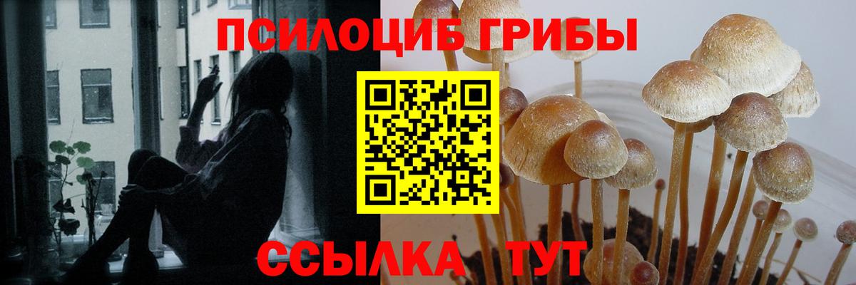 купить наркоту  Вход с VPN  Самара  Псилоцибиновые грибы мухоморы  Галлюциногенные грибы мицелий 